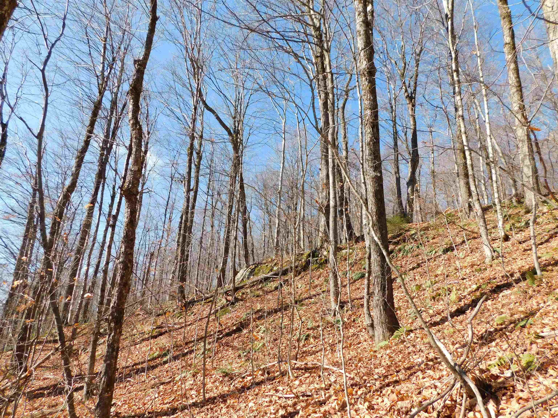 00 Highland Drive Montgomery VT 05471