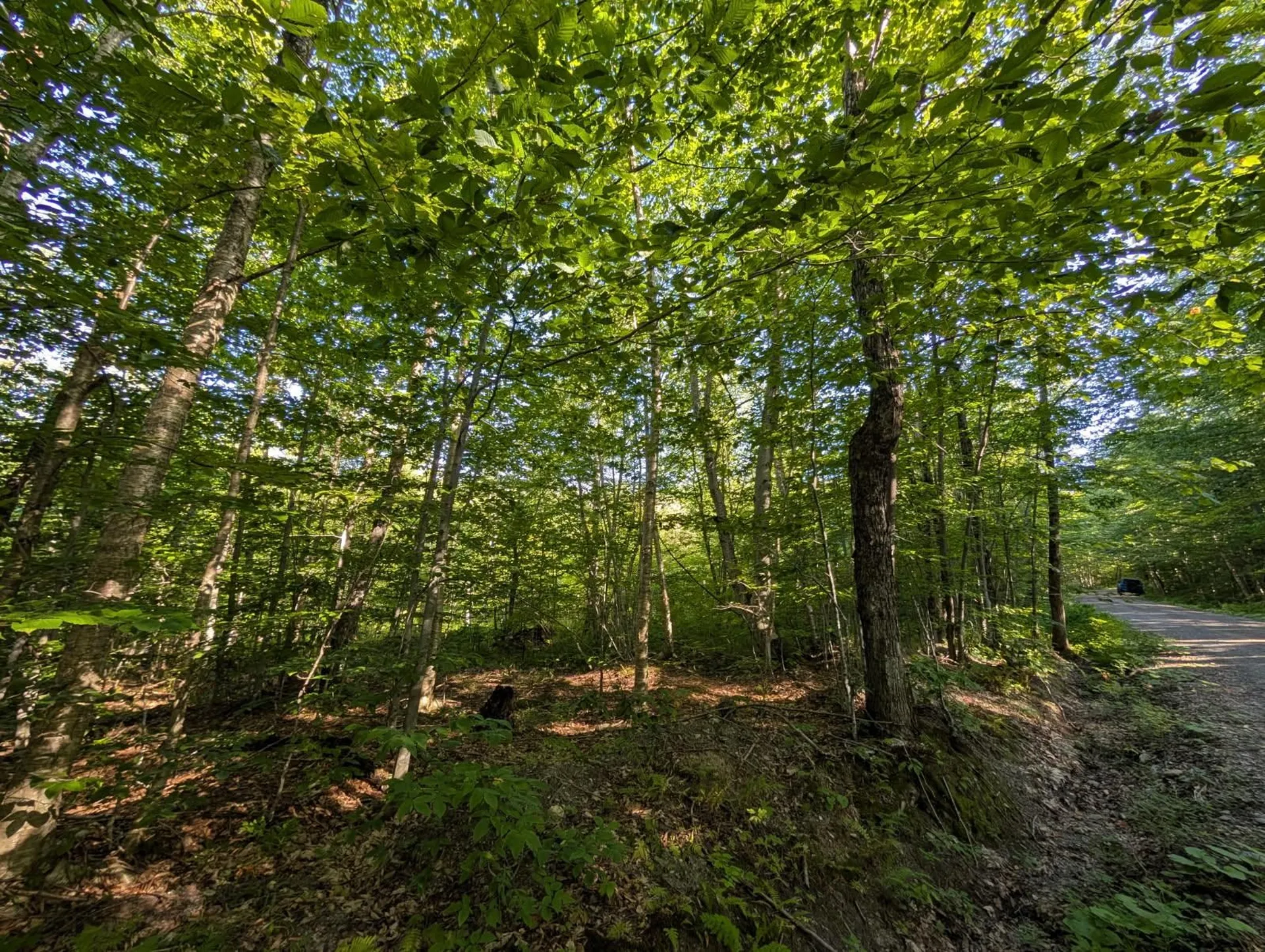 00 Highland Drive Montgomery VT 05471