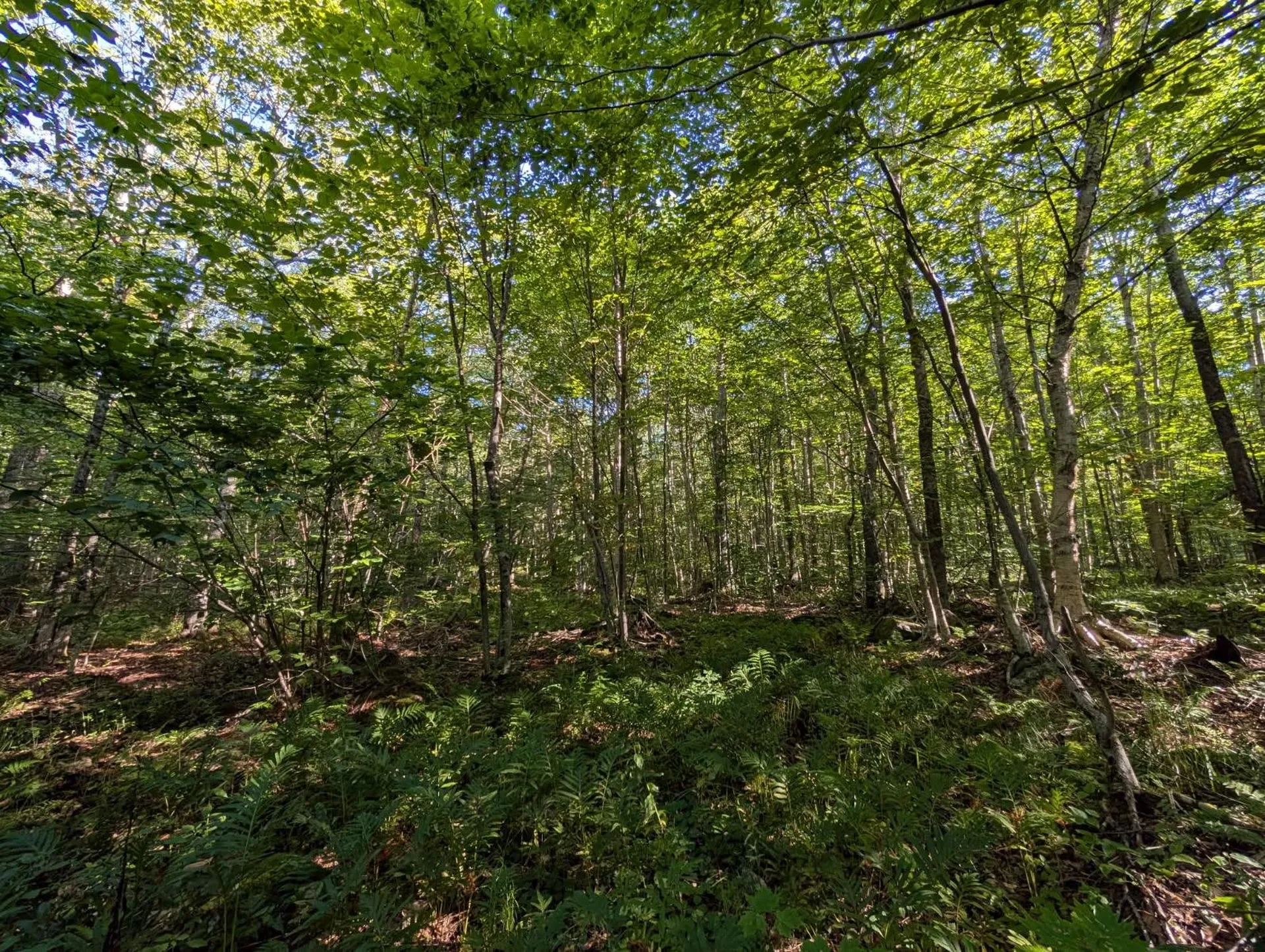 00 Highland Drive Montgomery VT 05471