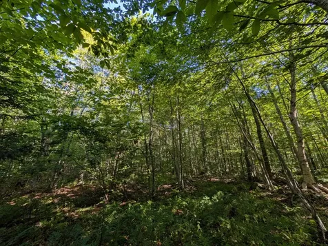 00 Highland Drive Montgomery VT 05471