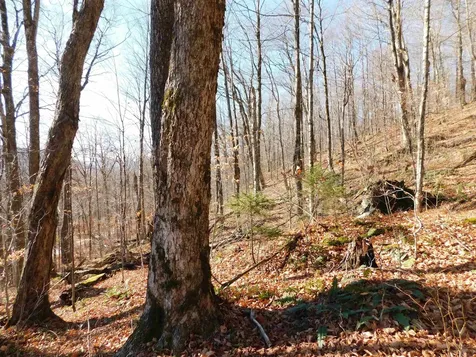 00 Highland Drive Montgomery VT 05471