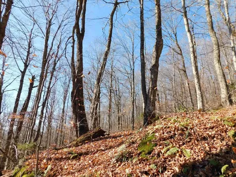 00 Highland Drive Montgomery VT 05471