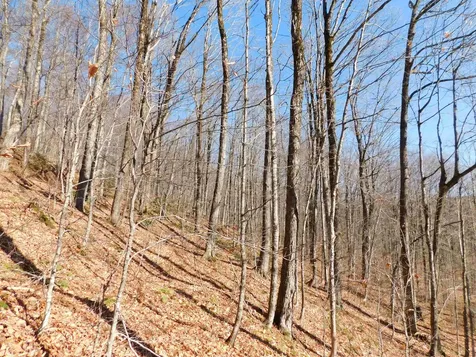 00 Highland Drive Montgomery VT 05471