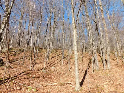 00 Highland Drive Montgomery VT 05471