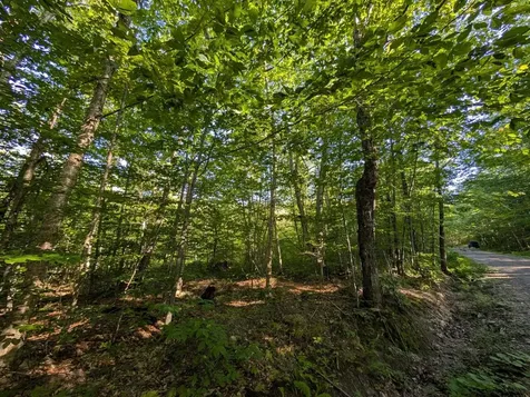 00 Highland Drive Montgomery VT 05471