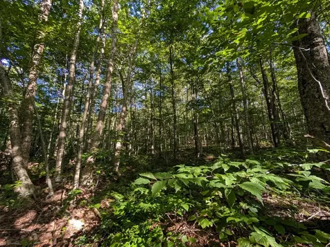 00 Highland Drive Montgomery VT 05471