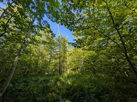 00 Highland Drive Montgomery VT 05471