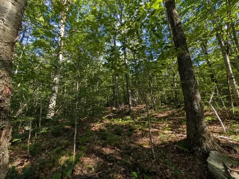 00 Highland Drive Montgomery VT 05471