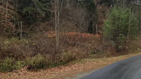 341 Seavers Brook Road Springfield VT 05156