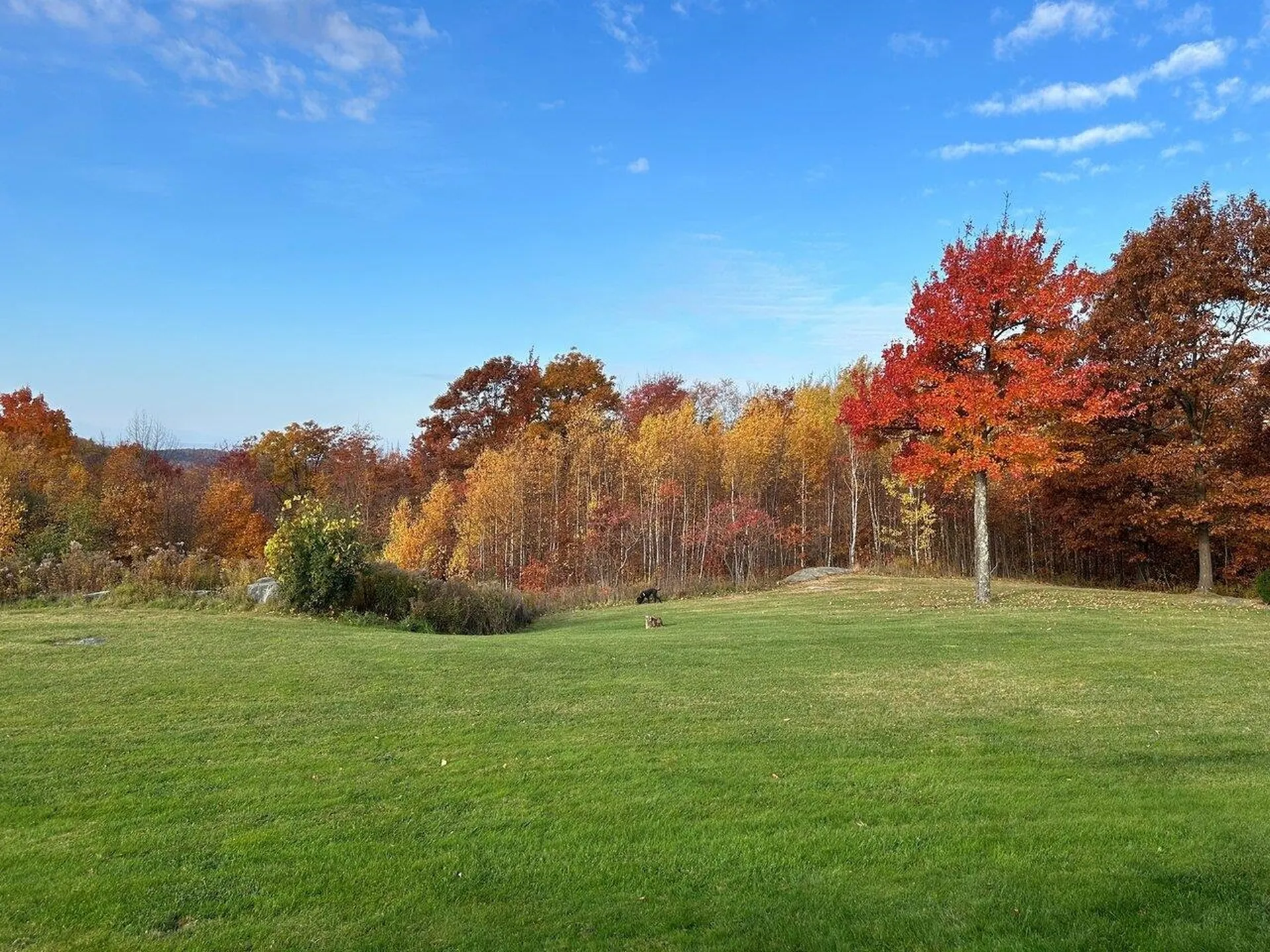 59 Pinewood Drive St. Albans City VT 05478