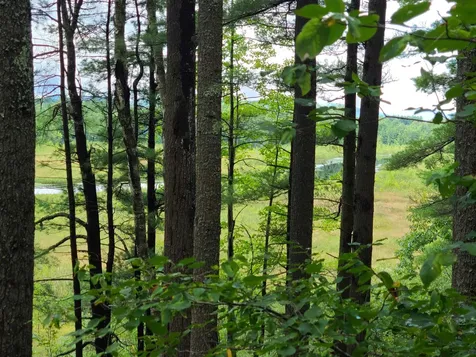 172 Windswept Road Alton NH 03809