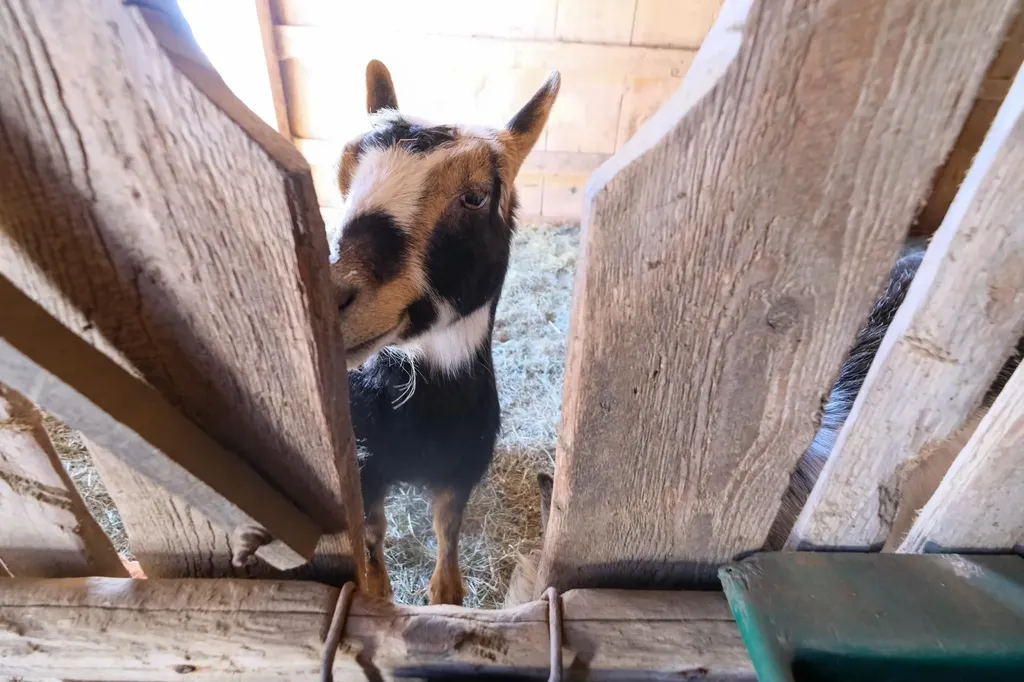 1135 Route 106 Reading VT 05062