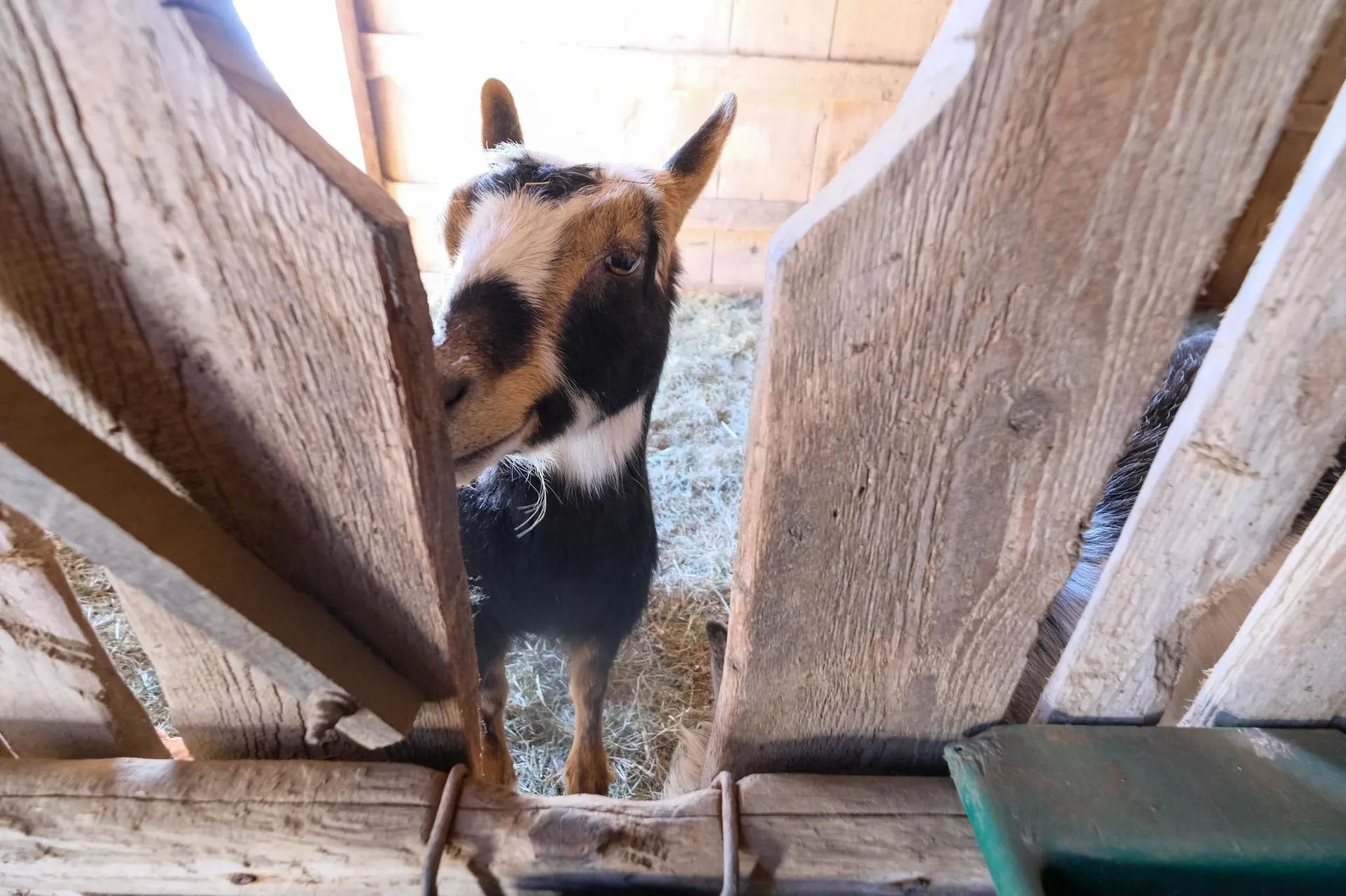 1135 Route 106 Reading VT 05062