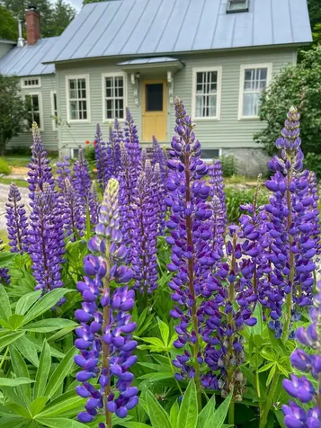 1135 Route 106 Reading VT 05062