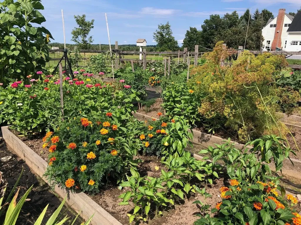 178 Popple Dungeon Road Charlotte VT 05445