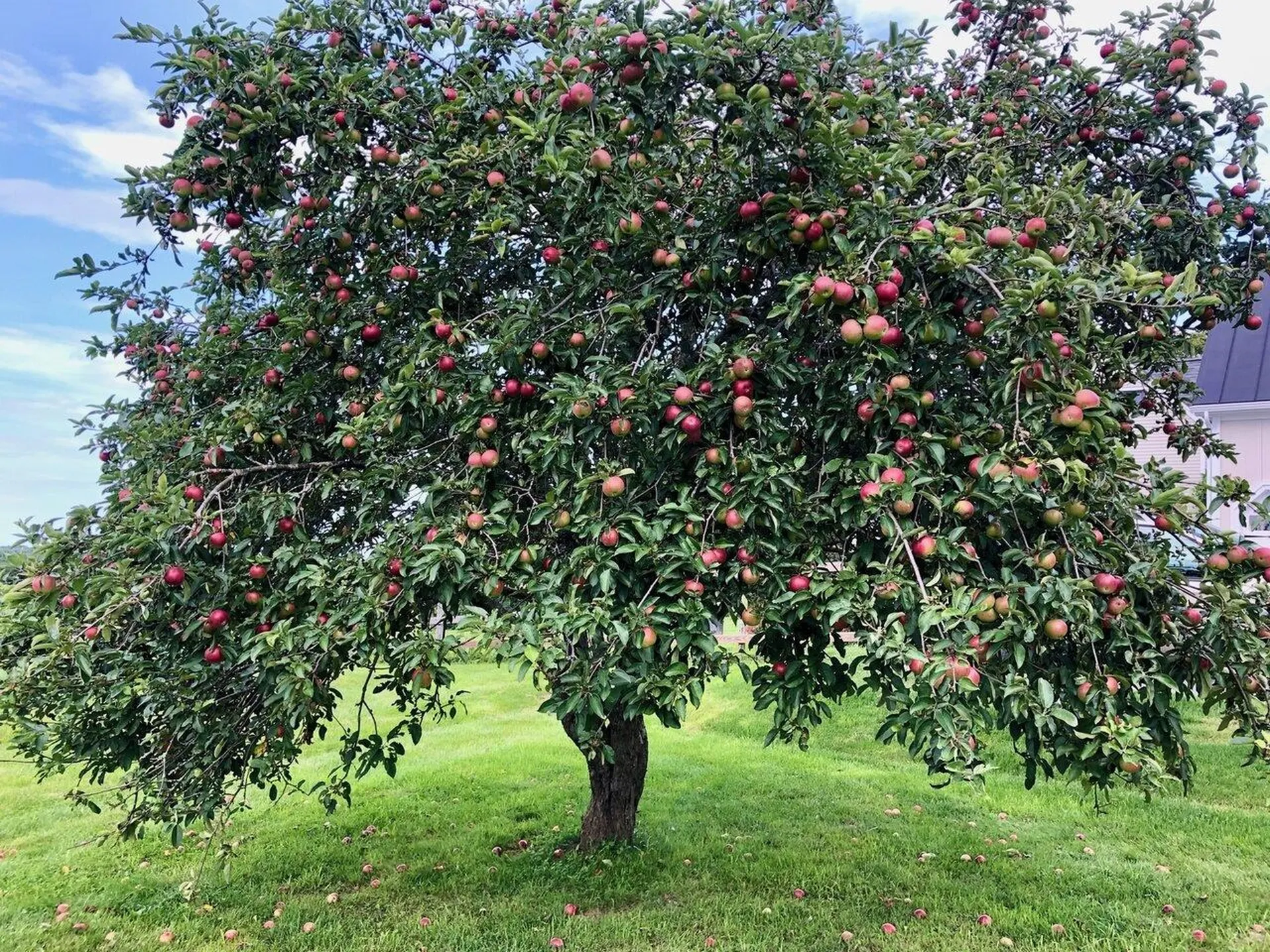 178 Popple Dungeon Road Charlotte VT 05445