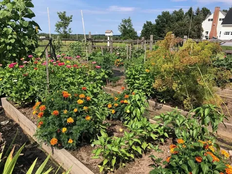 178 Popple Dungeon Road Charlotte VT 05445