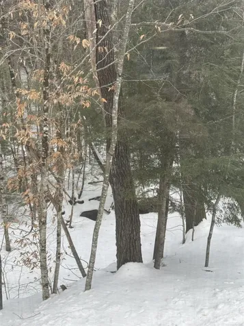 14 Streamside Drive Campton NH 03223