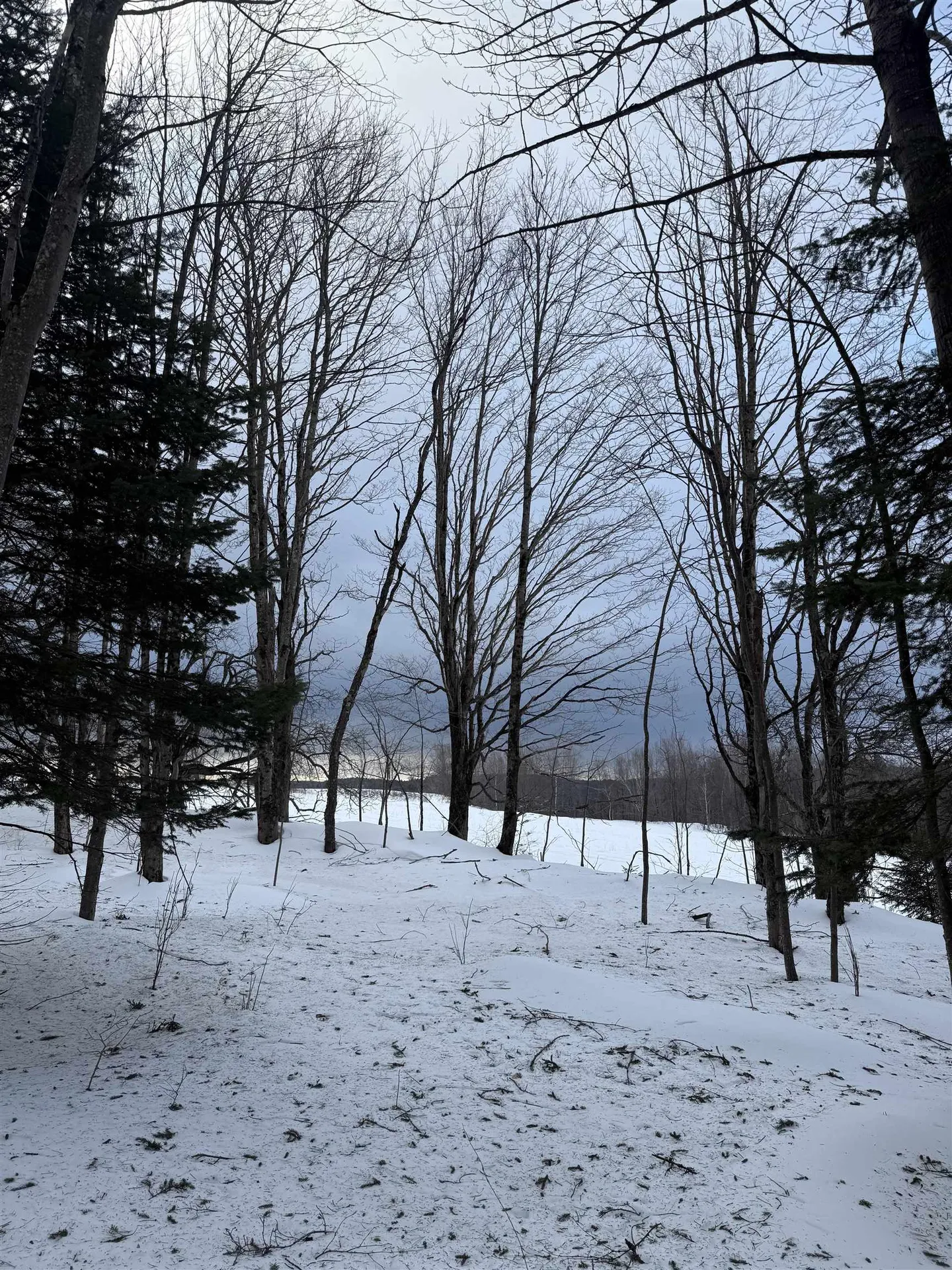 #10 Wilmington Heights Spur Wilmington VT 05363