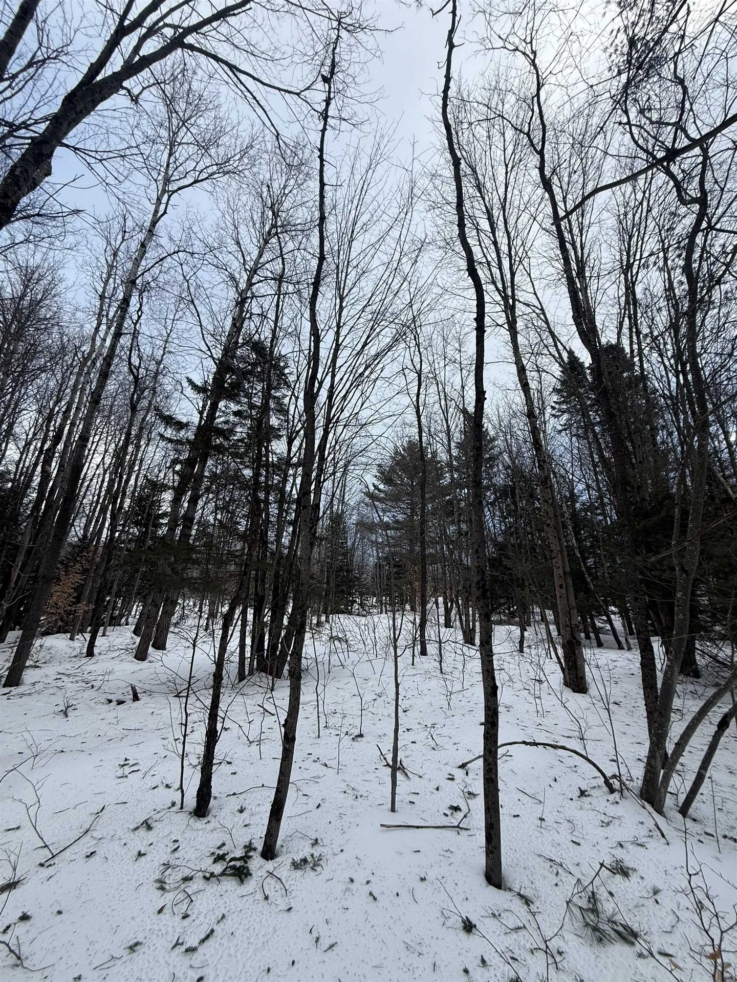 #10 Wilmington Heights Spur Wilmington VT 05363