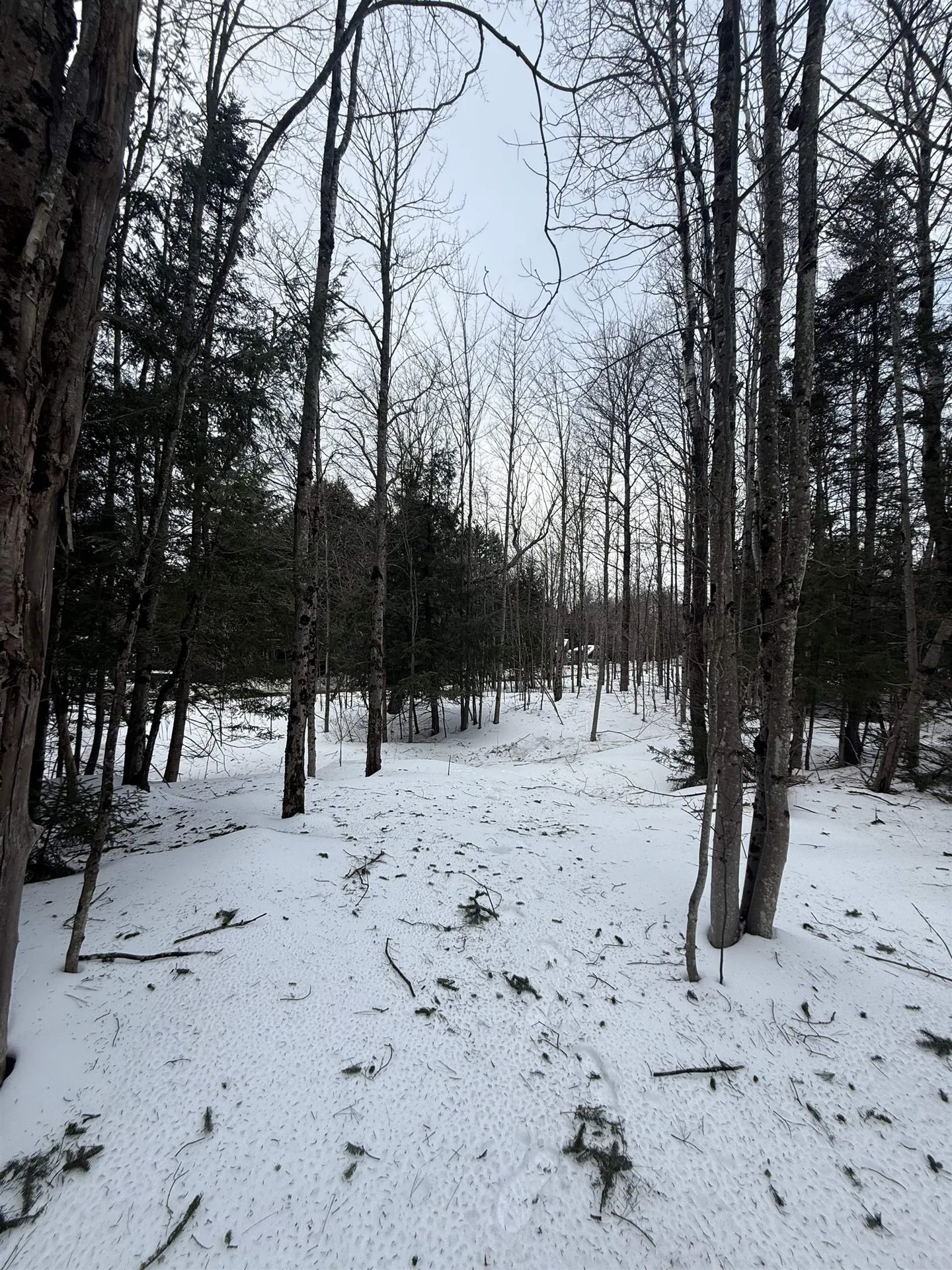 #10 Wilmington Heights Spur Wilmington VT 05363