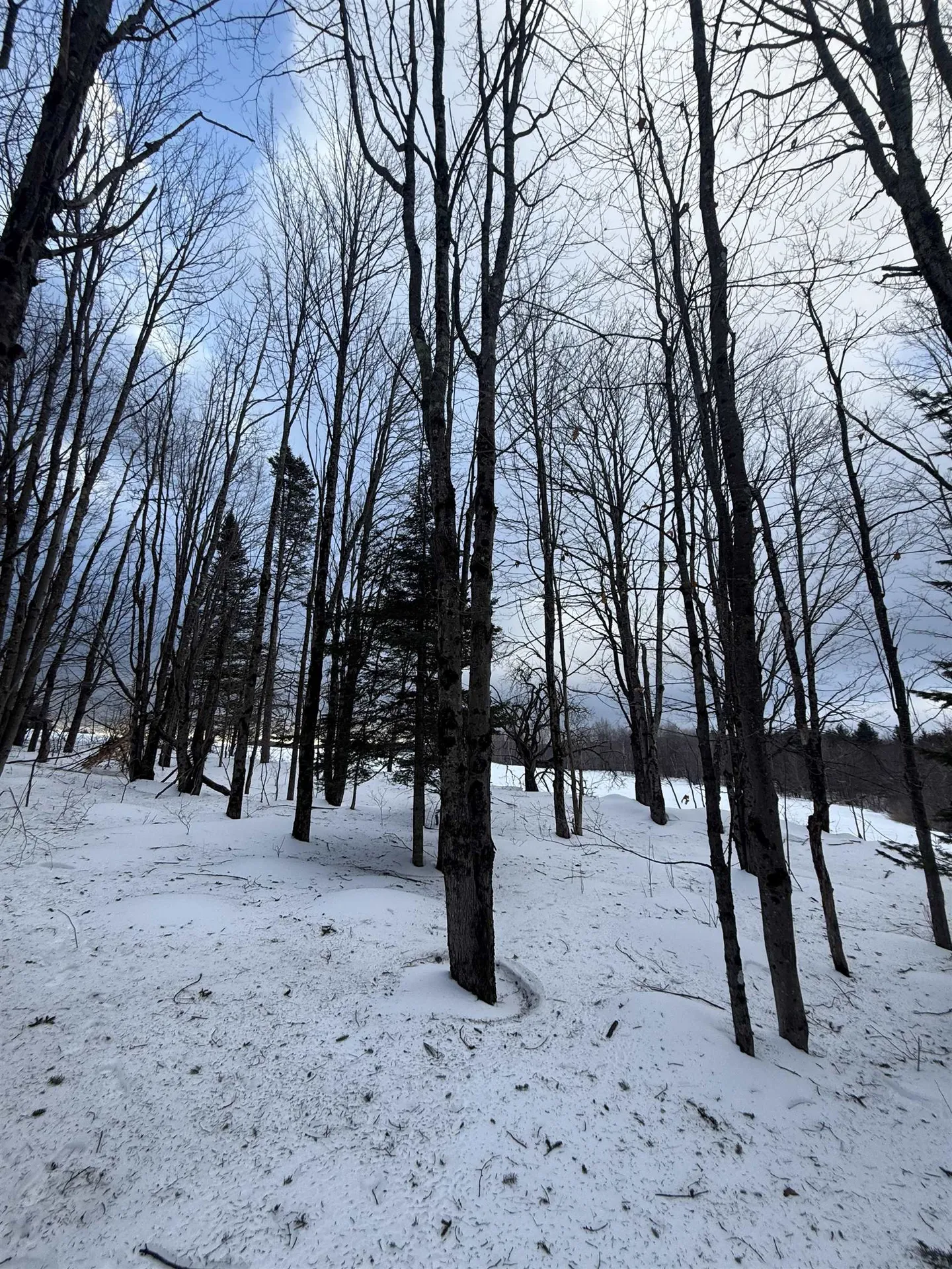 #10 Wilmington Heights Spur Wilmington VT 05363