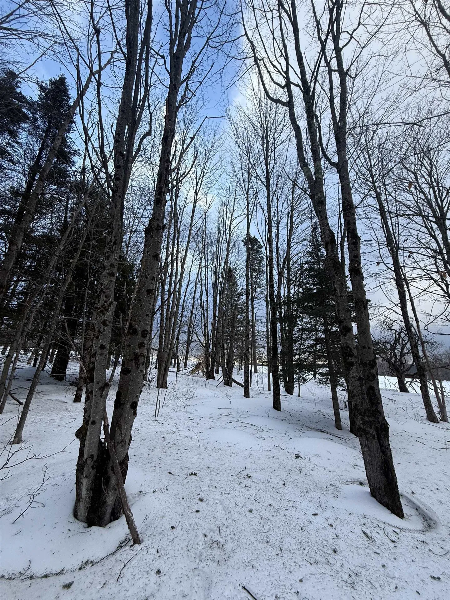 #10 Wilmington Heights Spur Wilmington VT 05363