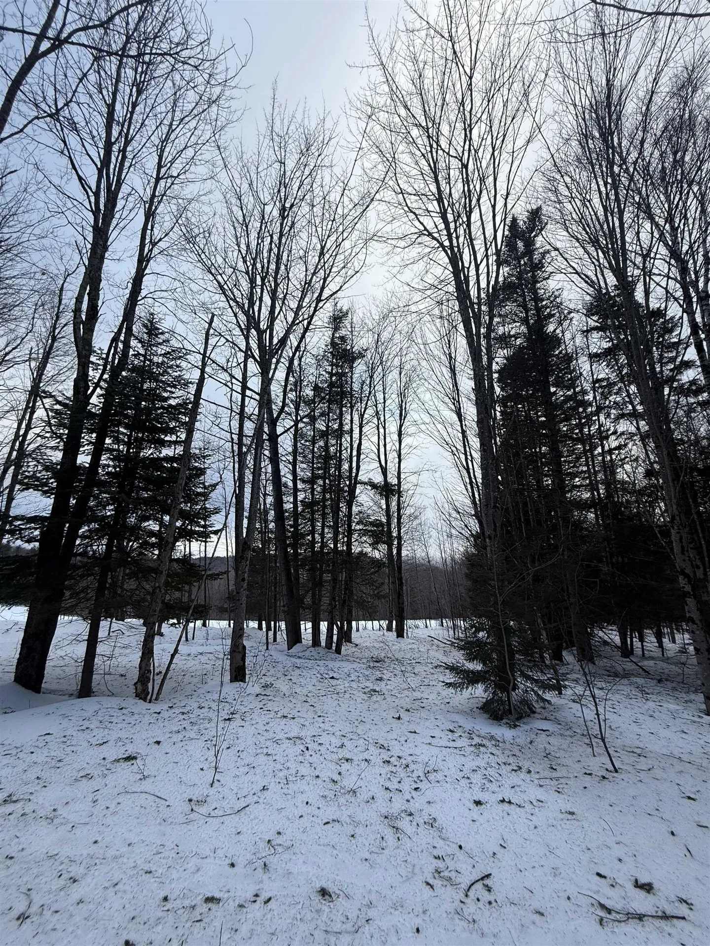 #10 Wilmington Heights Spur Wilmington VT 05363