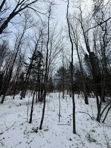 #10 Wilmington Heights Spur Wilmington VT 05363