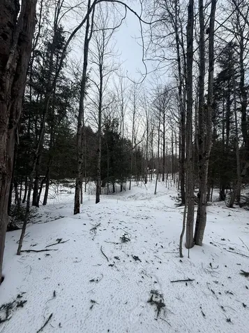 #10 Wilmington Heights Spur Wilmington VT 05363