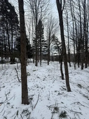 #10 Wilmington Heights Spur Wilmington VT 05363