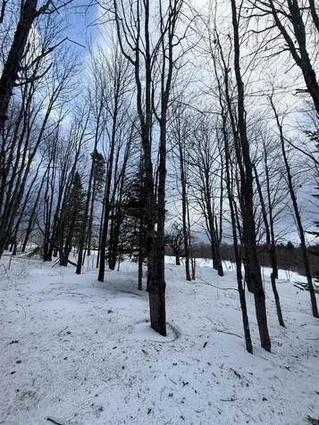 #10 Wilmington Heights Spur Wilmington VT 05363