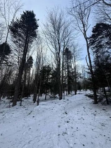 #10 Wilmington Heights Spur Wilmington VT 05363