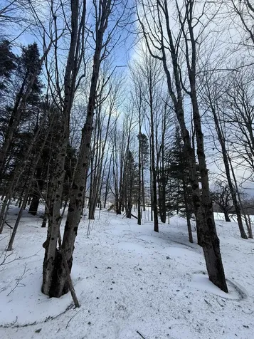 #10 Wilmington Heights Spur Wilmington VT 05363