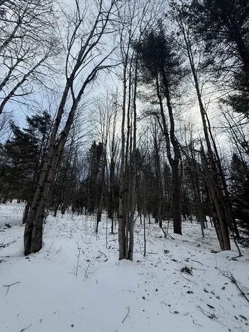 #10 Wilmington Heights Spur Wilmington VT 05363