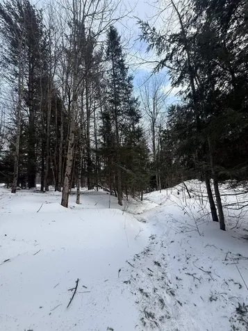 #10 Wilmington Heights Spur Wilmington VT 05363