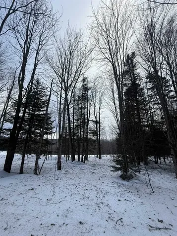 #10 Wilmington Heights Spur Wilmington VT 05363