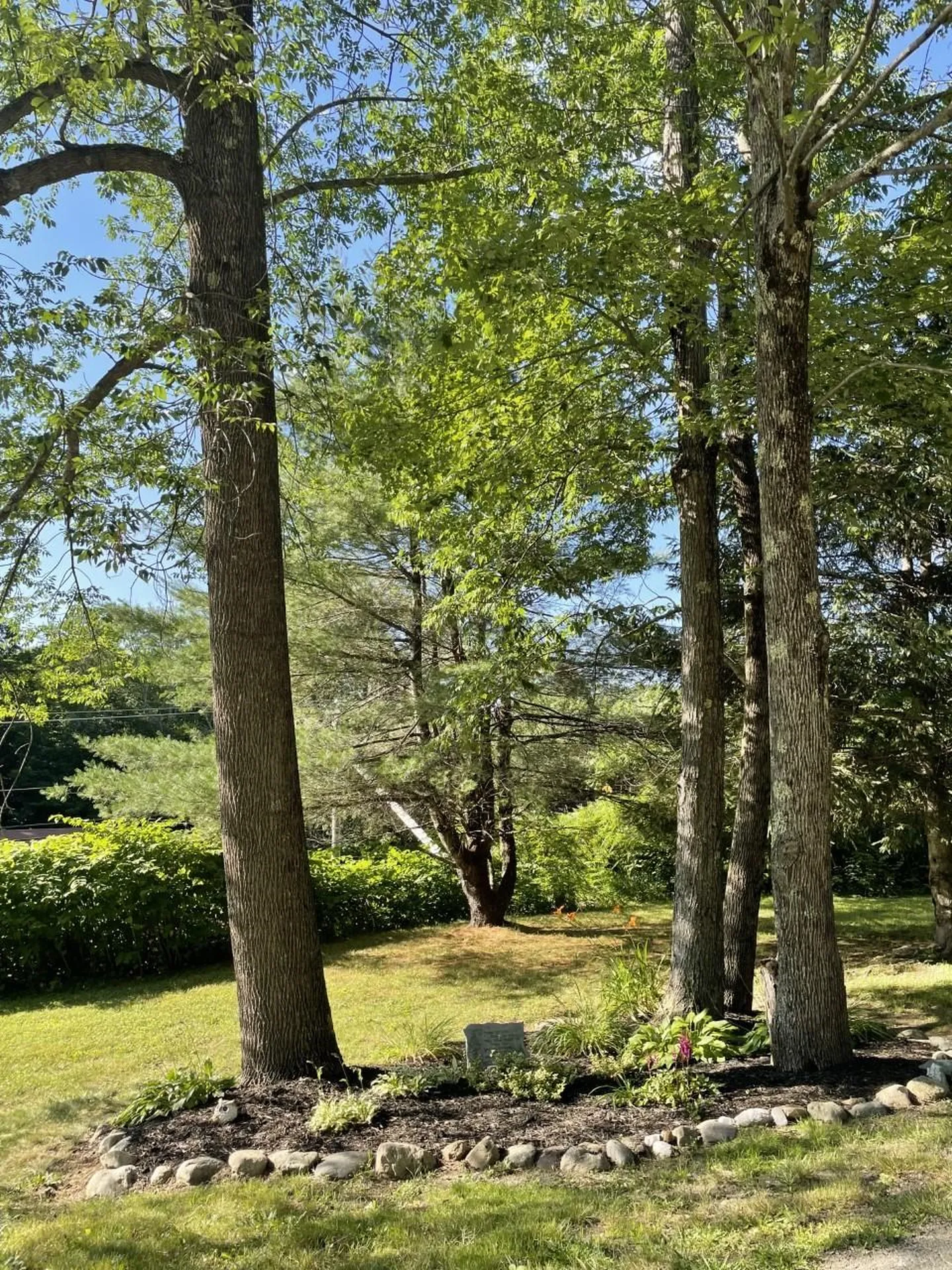 1720b Route 9 Chesterfield NH 03462