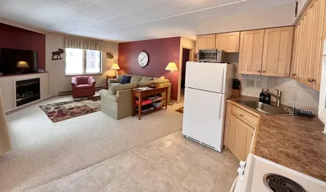 5G Mountain Village Way Dover VT 05356