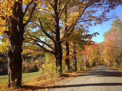 19 White Loop Ludlow VT 05149