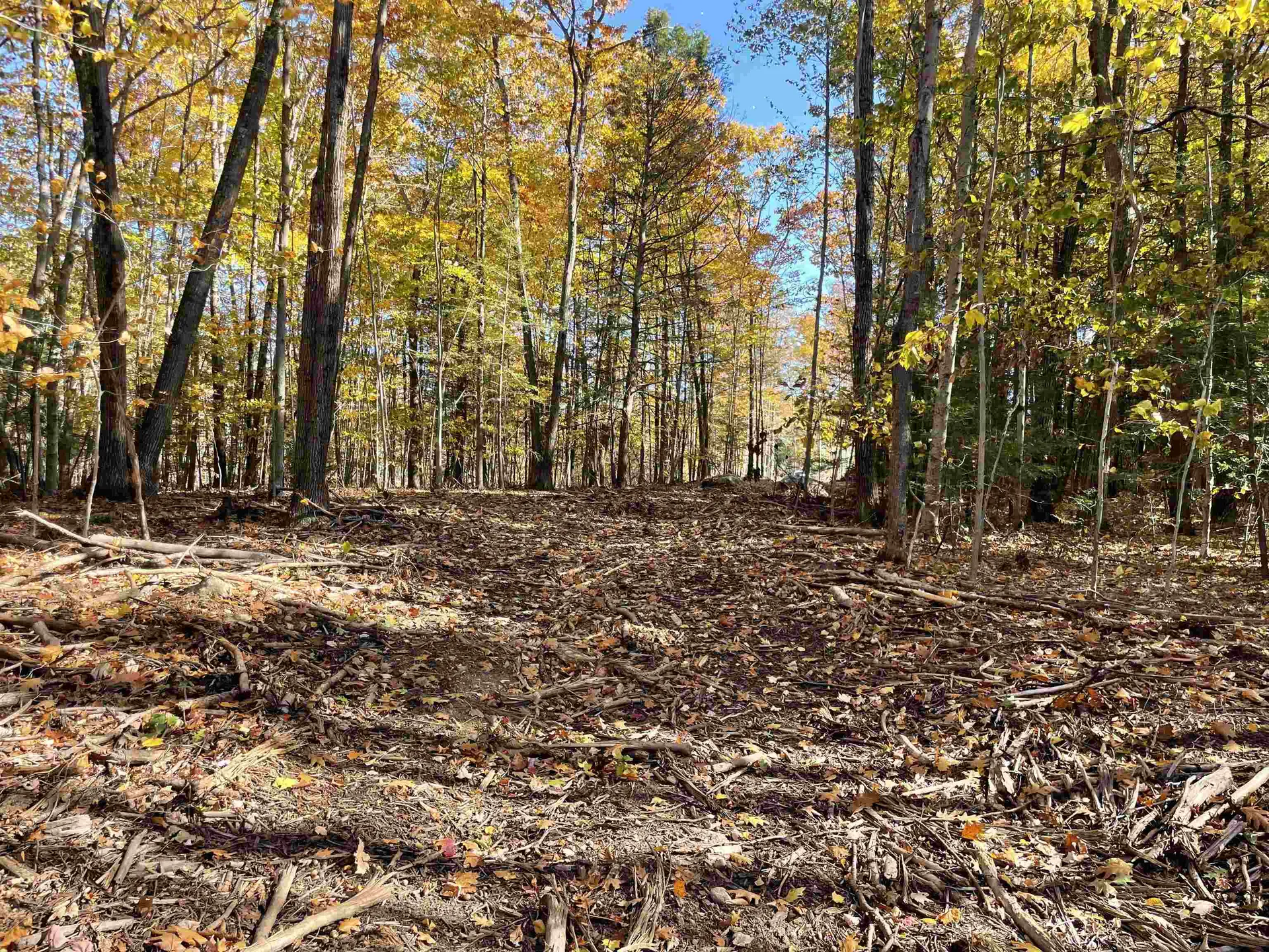 12 Blaisdell Court Raymond NH 03077