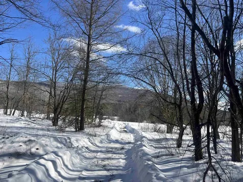 Lot 87 Brook Road Lancaster NH 03584