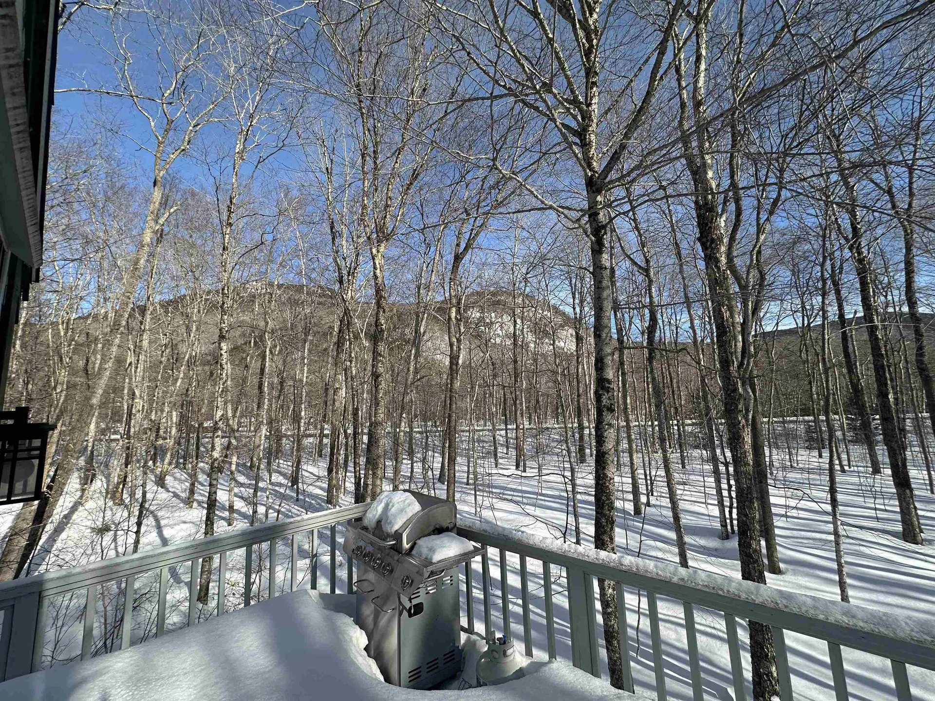 91 Burke Road Harts Location NH 03812