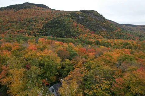 91 Burke Road Harts Location NH 03812