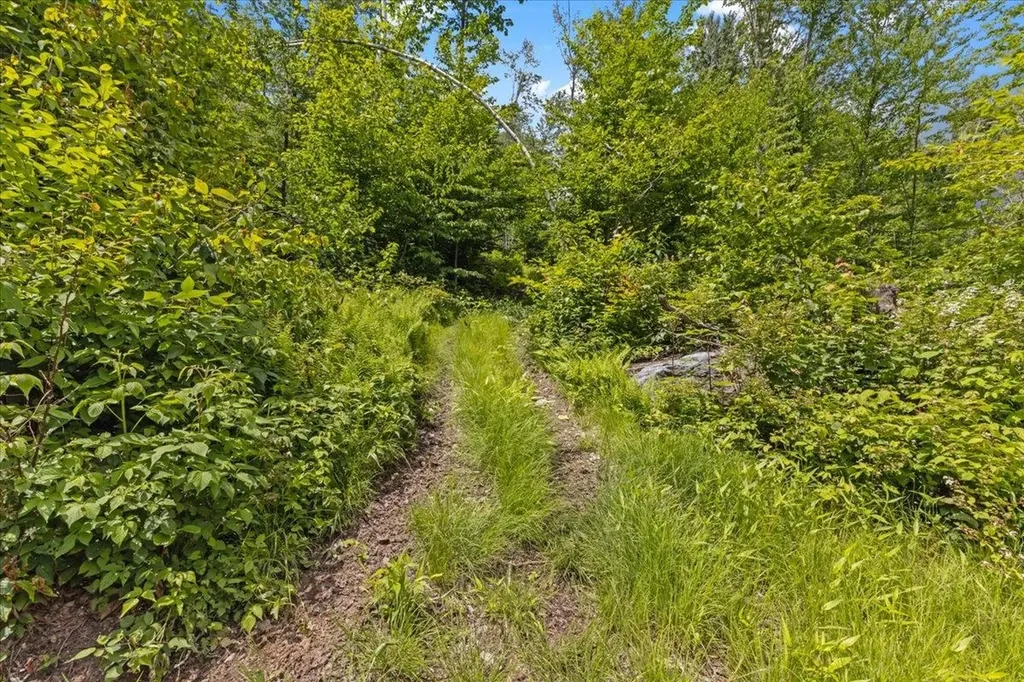 Lot 1 Marshall Road Duxbury VT 05676