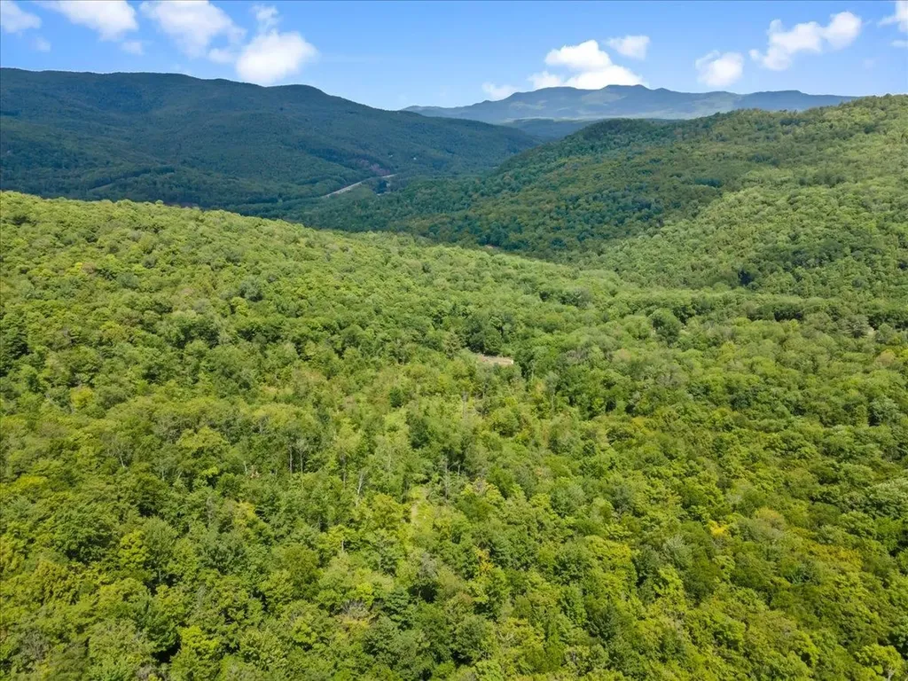 Lot 1 Marshall Road Duxbury VT 05676