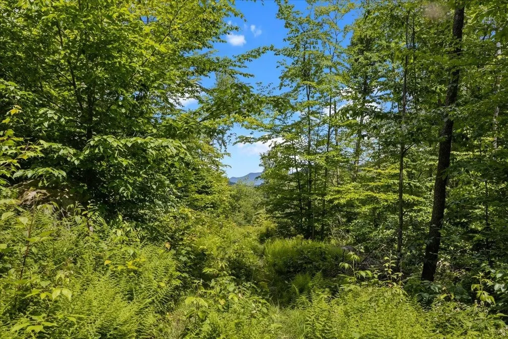 Lot 1 Marshall Road Duxbury VT 05676