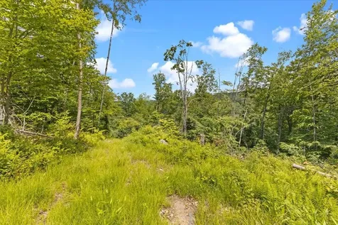 Lot 1 Marshall Road Duxbury VT 05676