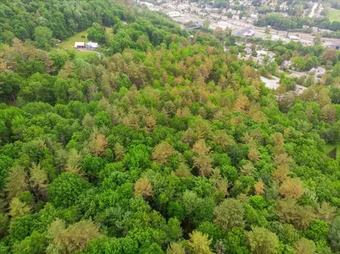 Lot 1-3 Hill Street Montpelier VT 05601