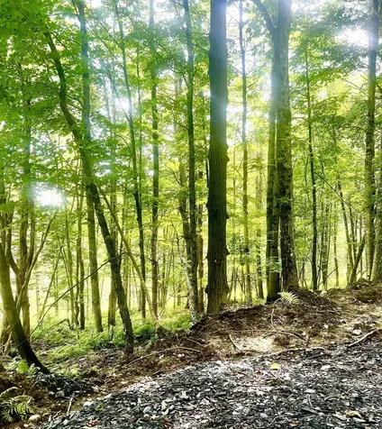 Lot 1-3 Hill Street Montpelier VT 05601